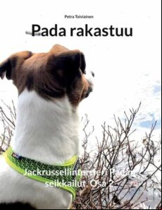 PADA RAKASTUU EBOOK (edición en finlandés)