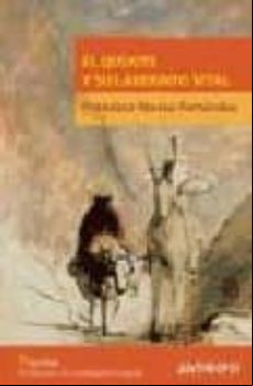 El Quijote Y Su Laberinto Vital